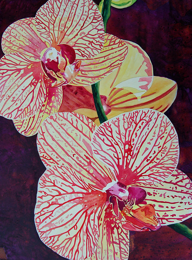 Orchids Painting by Terry Holliday