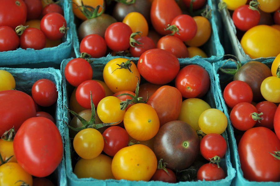 Organic Heirloom Tomatoes #3 Photograph by Bonnie Sue Rauch