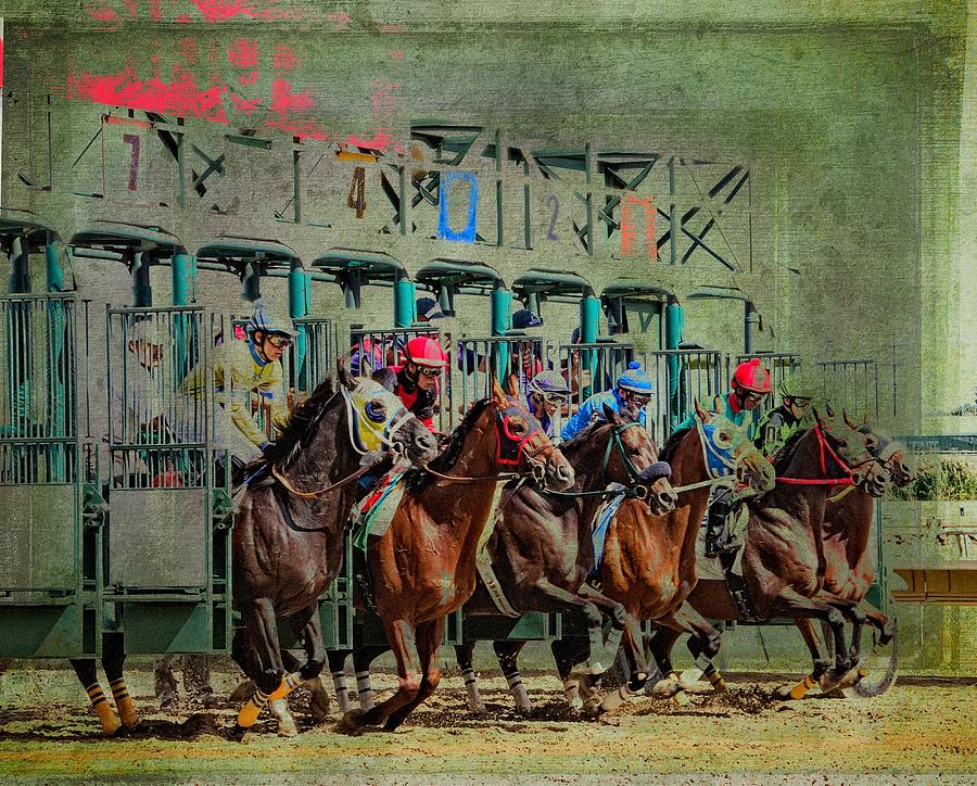 Out The Gate Photograph by Alice Gipson Out The Gate Photograph by Alice Gipson