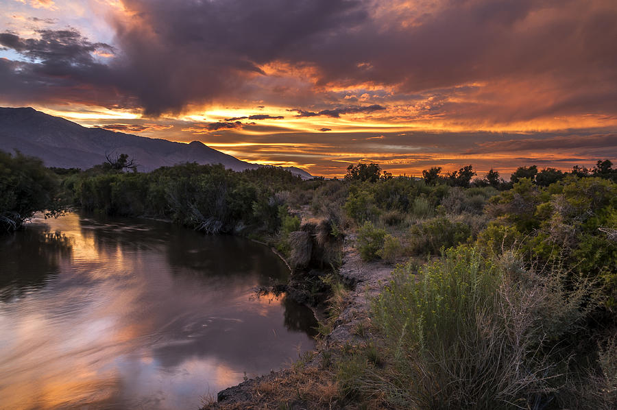Owens River Sunset #3 Photograph by Cat Connor