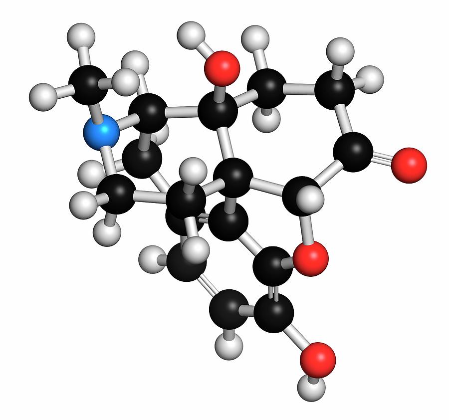 Oxymorphone Opioid Analgesic Drug Photograph By Molekuul