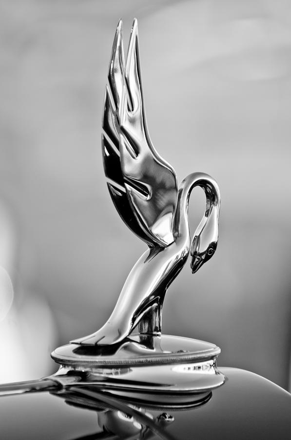 Black And White Photograph - Packard Cormorant Hood Ornament #3 by Jill Reger