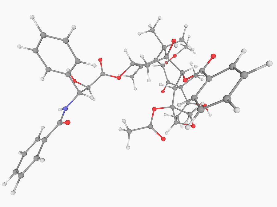 Paclitaxel Drug Molecule #3 Photograph by Laguna Design/science Photo Library