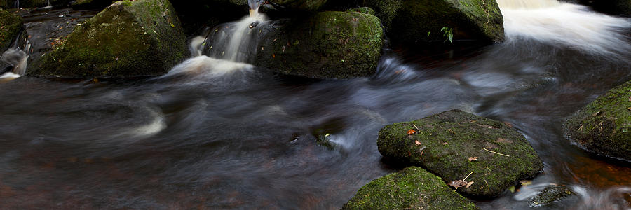 Padley Gorge #3 Photograph by Nick Atkin