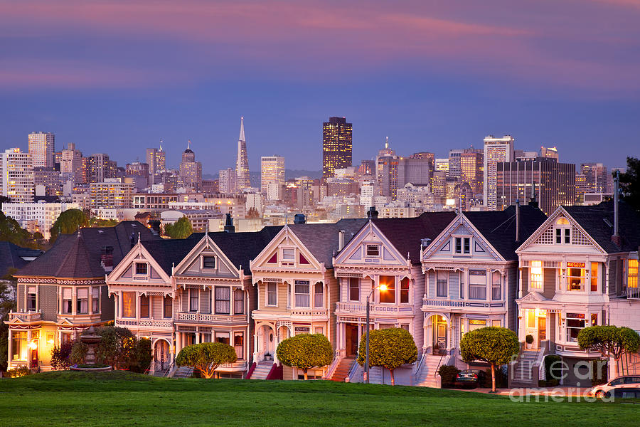 Painted Ladies Photograph by Brian Jannsen