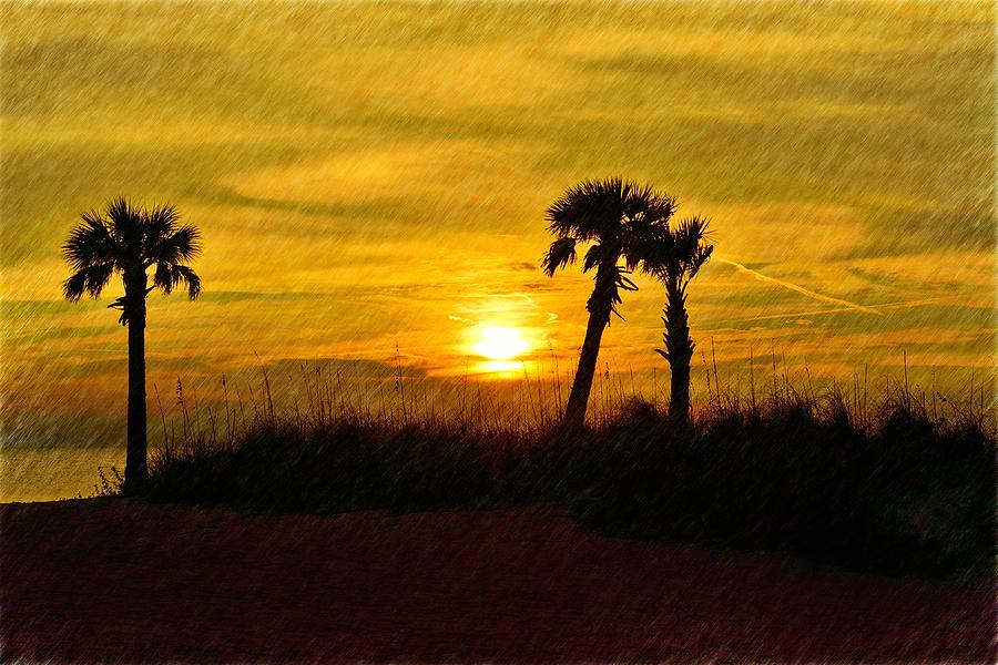 3 Palms Sunset Photograph by Richard Zentner
