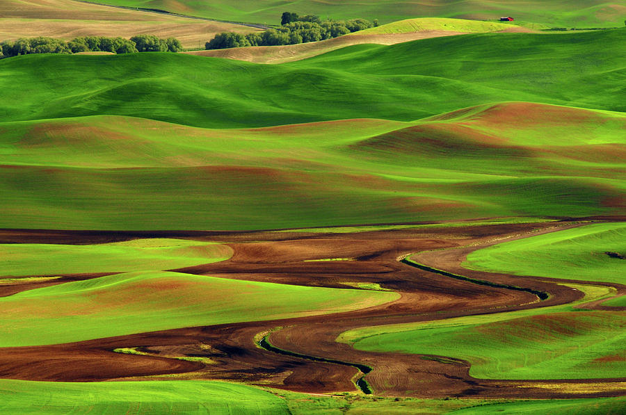 Palouse View From Steptoe Butte Photograph by Michel Hersen - Fine Art ...