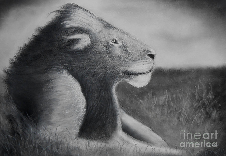 Lion Pastel - Panthera Leo #3 by Julio Haro