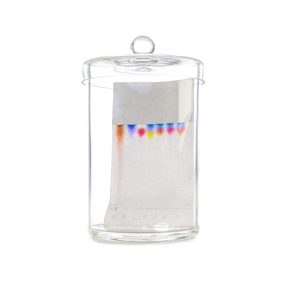 Paper Chromatography #3 Photograph by Science Photo Library