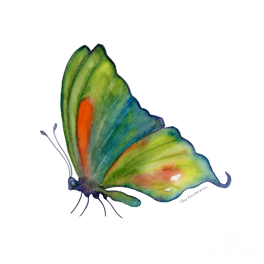 Butterfly Painting - 3 Perched Orange Spot Butterfly by Amy Kirkpatrick