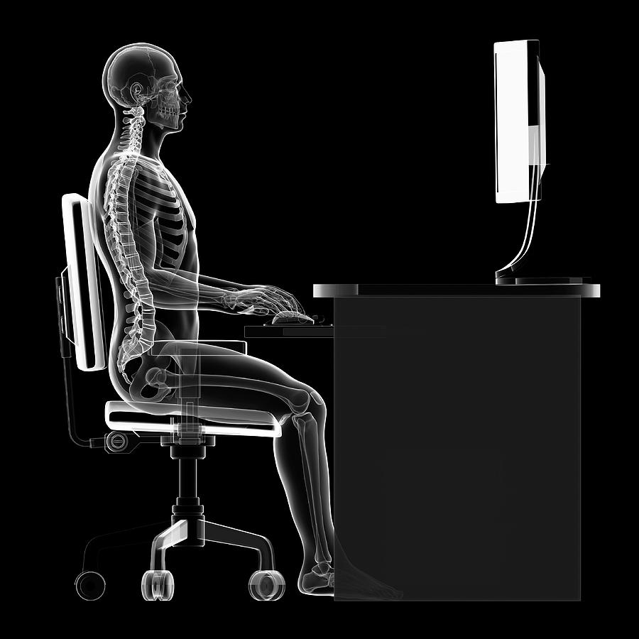 Person Sitting With Correct Posture Photograph by Sebastian Kaulitzki ...
