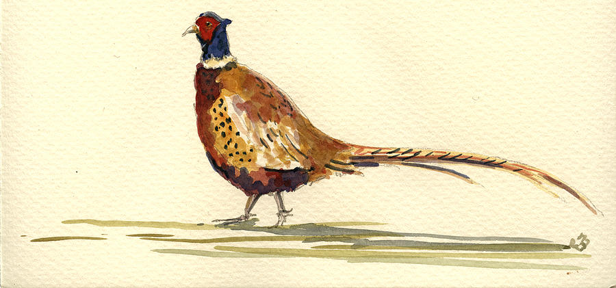 Pheasant Painting - Pheasant #3 by Juan  Bosco
