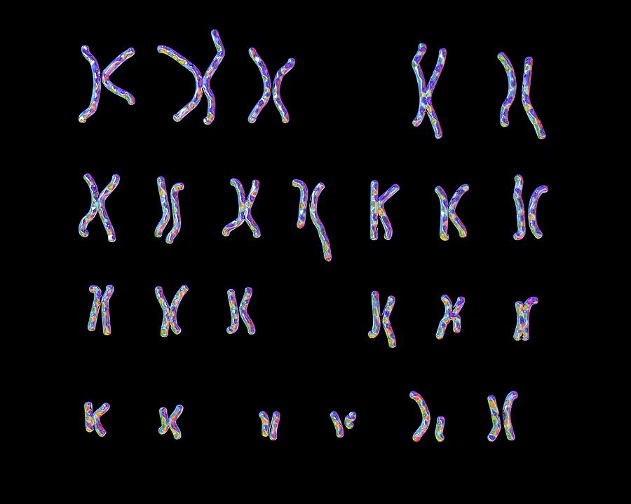 Philadelphia Chromosome #3 Photograph by Kateryna Kon/science Photo Library