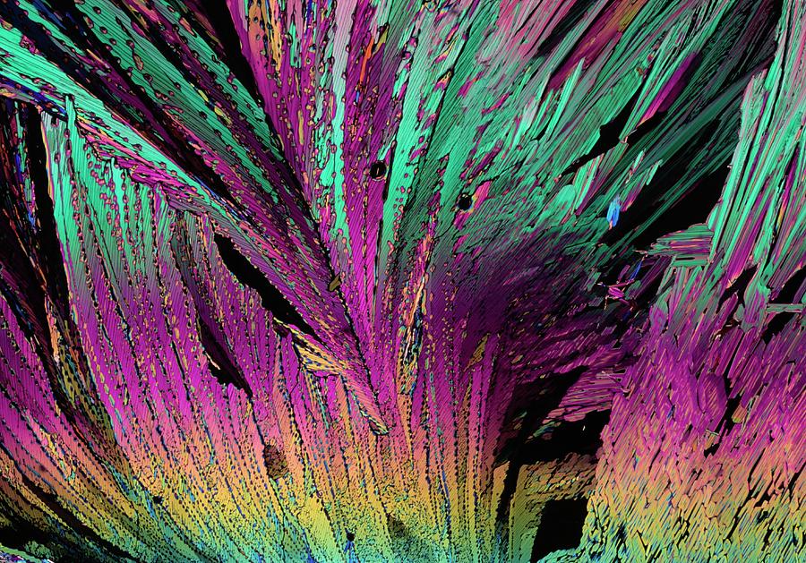 Crystals Photograph - Plm Of Crystals Of Estrone #3 by Sidney Moulds/science Photo Library