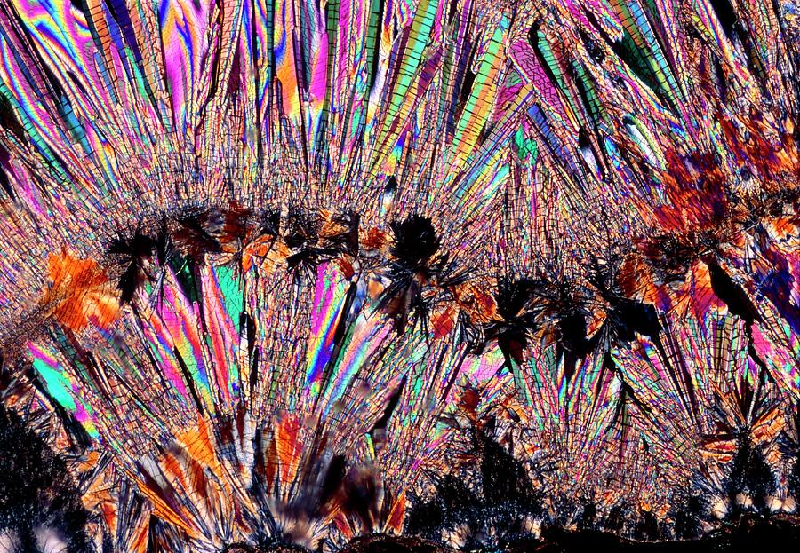 Plm Of Cystals Of Beta-estradiol Photograph by Sidney Moulds/science ...