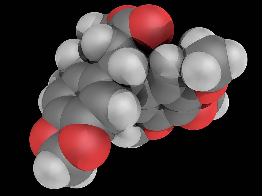 Illustration Photograph - Podofillotoxin Molecule #3 by Laguna Design/science Photo Library