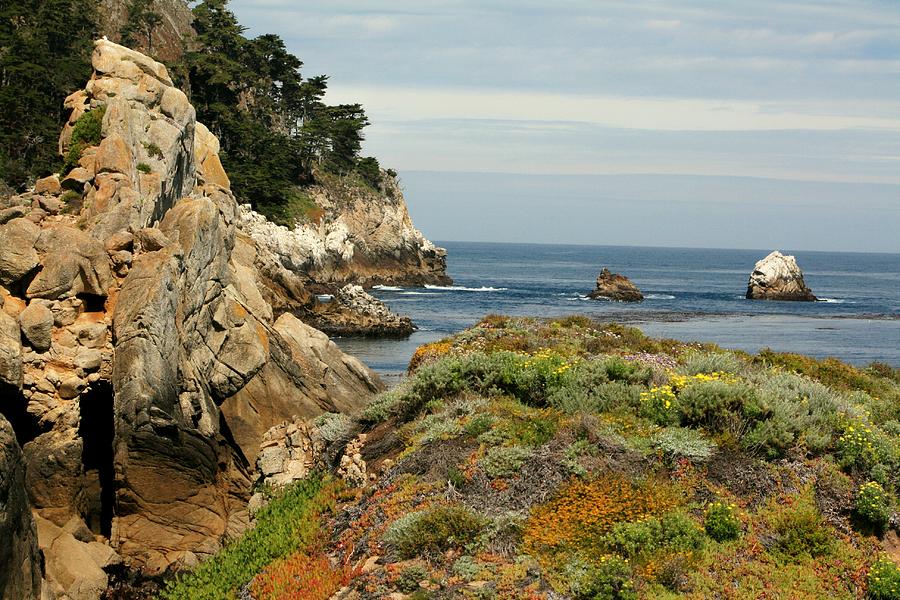 Point Lobos #3 Photograph by Douglas Miller