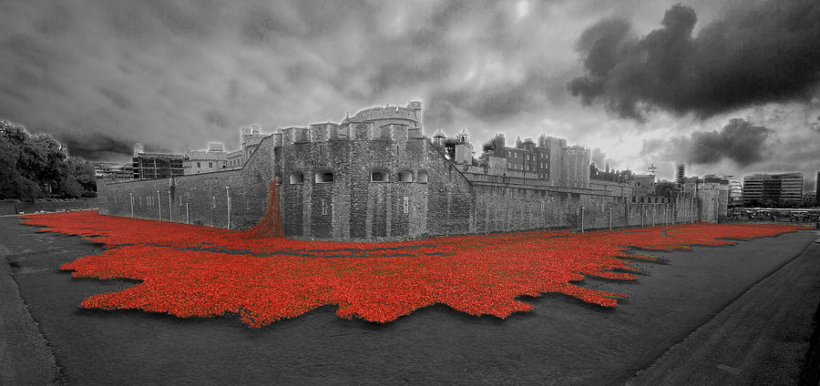Poppies Tower of London collage #3 Photograph by David French