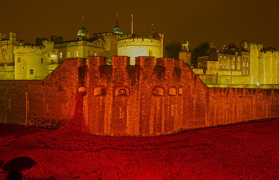 Poppies Tower of London night   #3 Photograph by David French