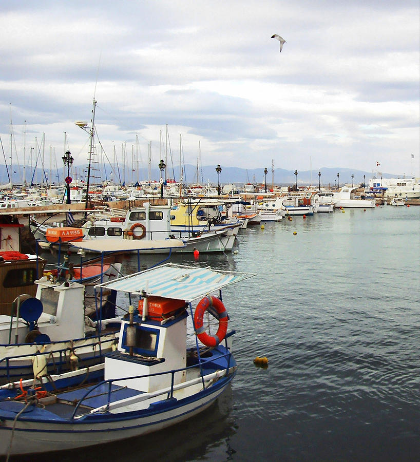 Port of Aegina Photograph by Ellen Henneke