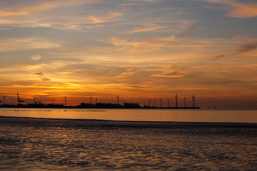 Port of Zeebrugge. #1 Photograph by Vanessa D -