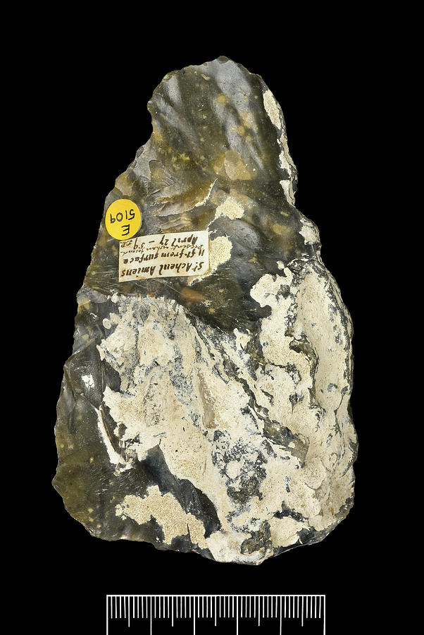 Prehistoric Flint Hand-axe #3 Photograph by Natural History Museum, London/science Photo Library