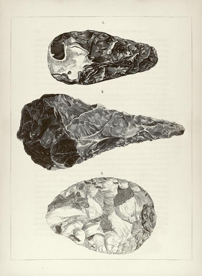 Prehistoric Stone Tools #3 Photograph by Middle Temple Library