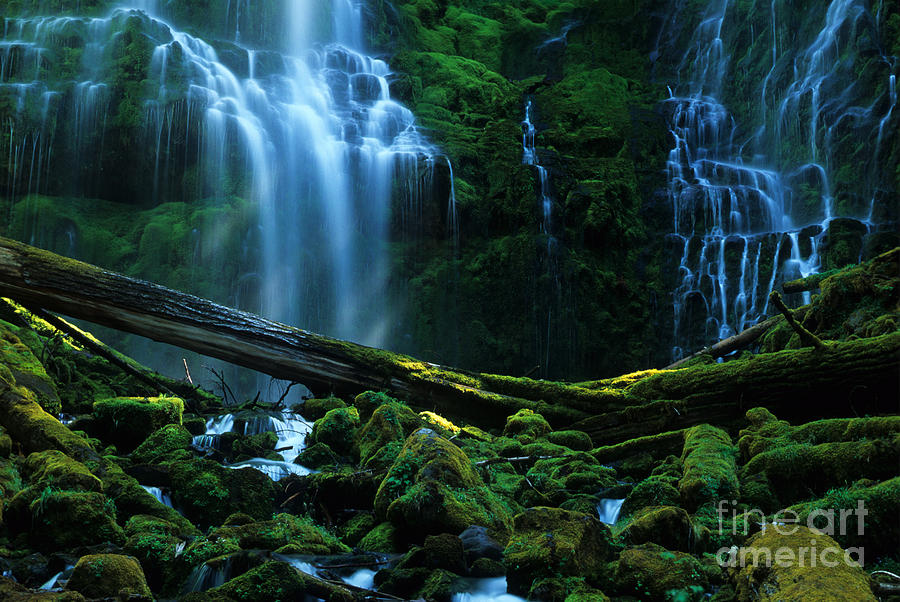 Proxy Falls Oregon #2 Photograph by Bob Christopher