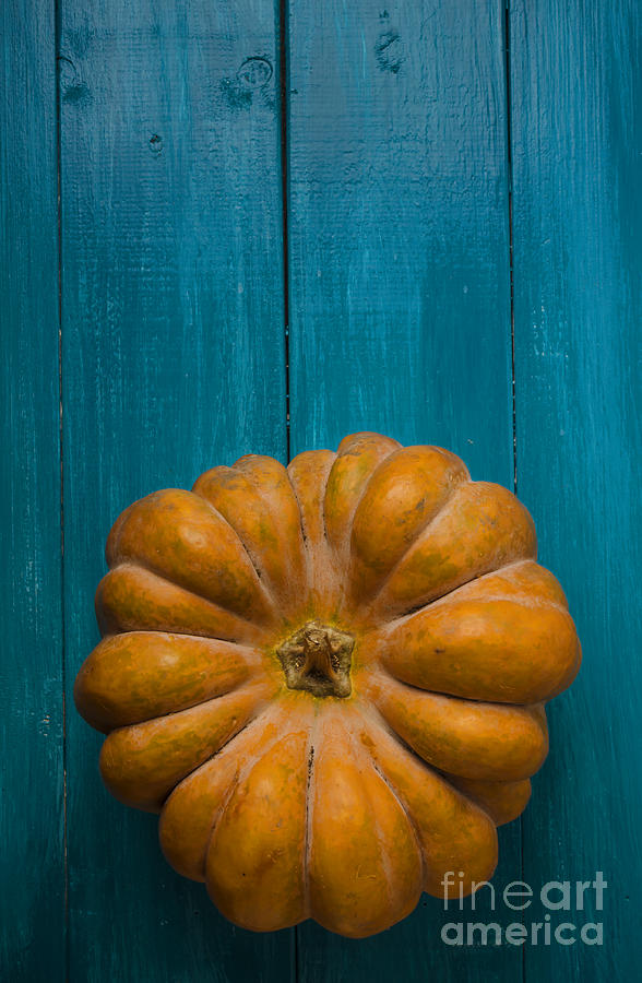 Pumpkin #1 Photograph by Jelena Jovanovic