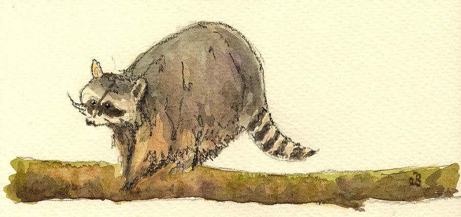 Wildlife Painting - Raccoon #3 by Juan  Bosco