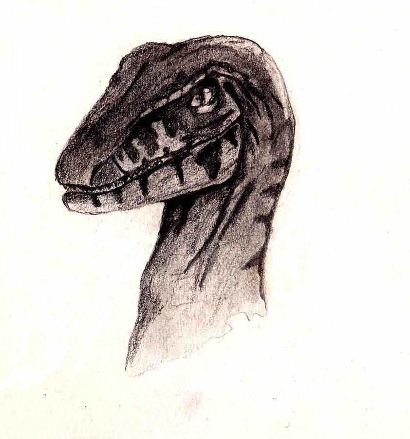 Raptor Drawing by Julio Haro