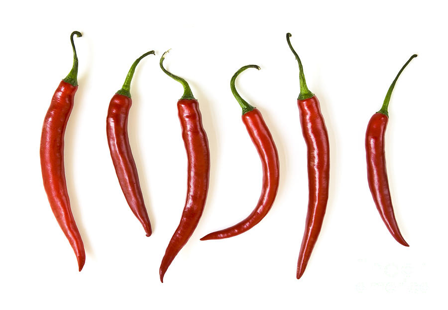 Vegetable Photograph - Red hot chili peppers 3 by Elena Elisseeva