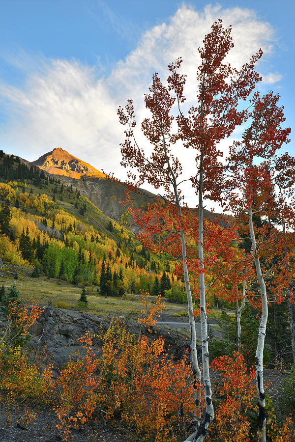 Red Mountain Pass Fall Colors #6 Photograph by Ray Mathis