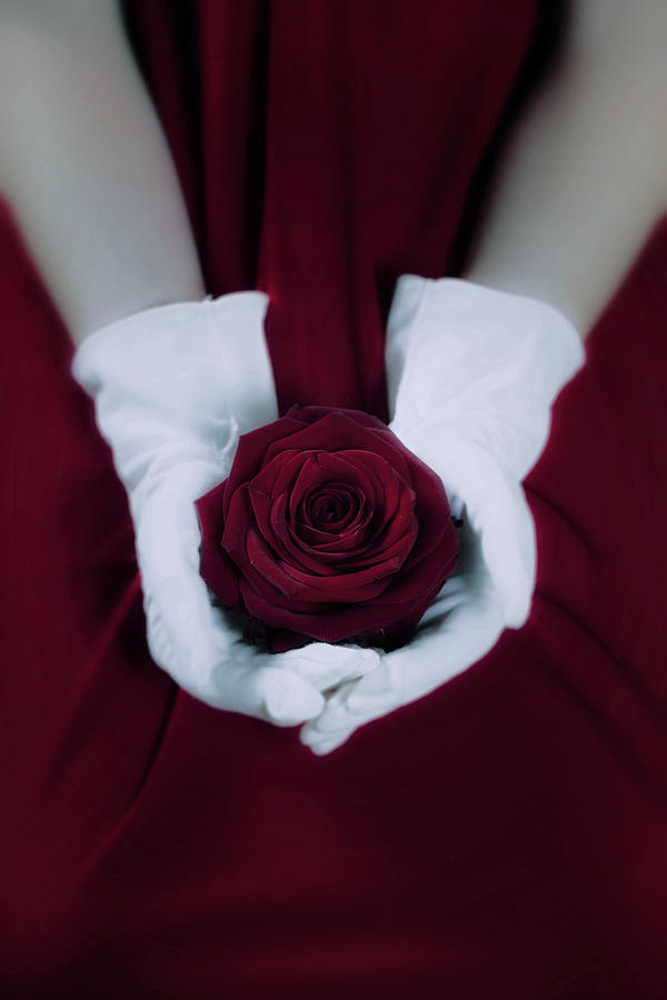Rose Photograph - Red Rose #3 by Joana Kruse