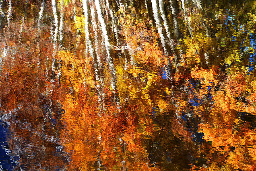 Claude Monet Photograph - Reflections of Fall #3 by Lynn Bauer