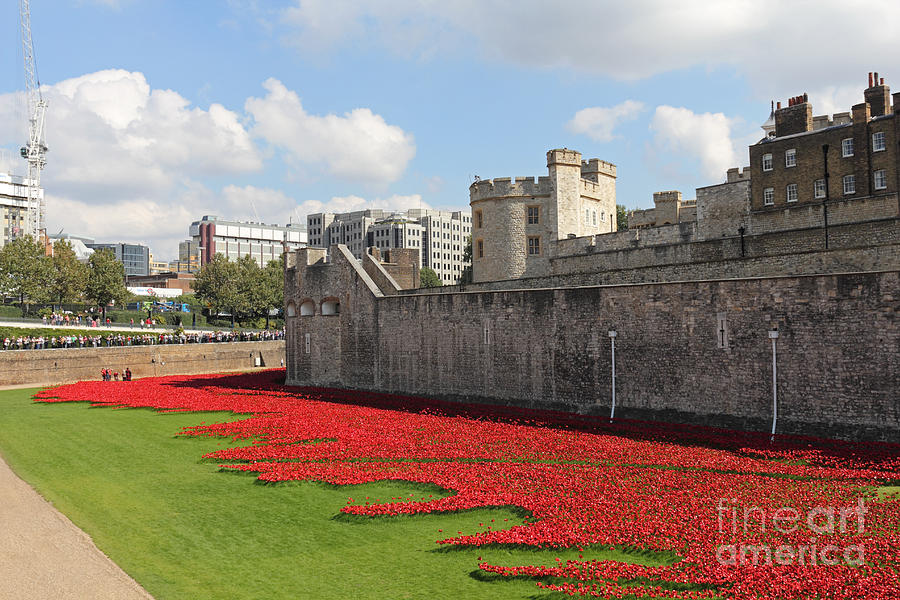Remembrance Poppies at the Tower of London #3 Photograph by Julia Gavin