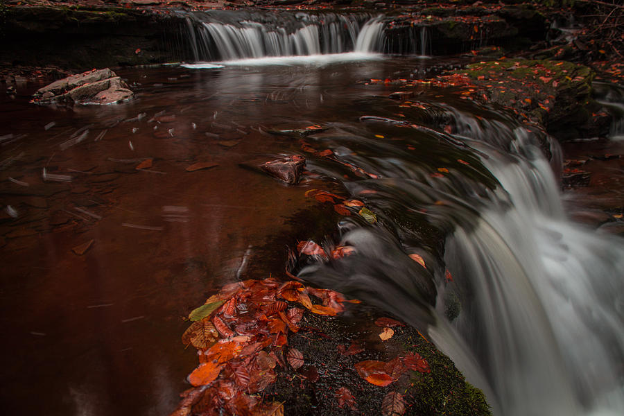 Waterfall Photograph - Ricketts glen #4 by Jahred Allen