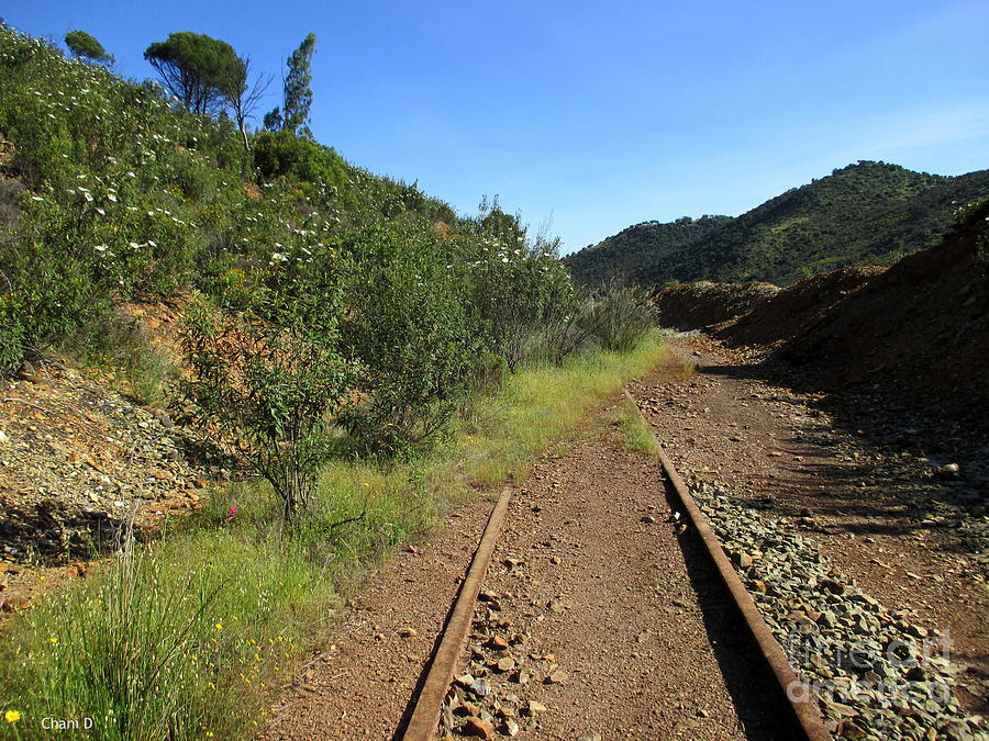 Rio Tinto Abandoned Railway #5 Photograph by Chani Demuijlder