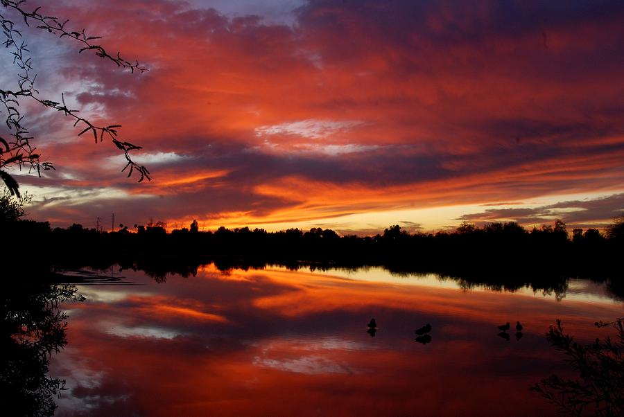 Riparian Sunset #1 Photograph by Tam Ryan