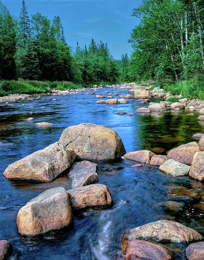 River Flowing Through A Forest, Ausable #3 Photograph by Panoramic Images
