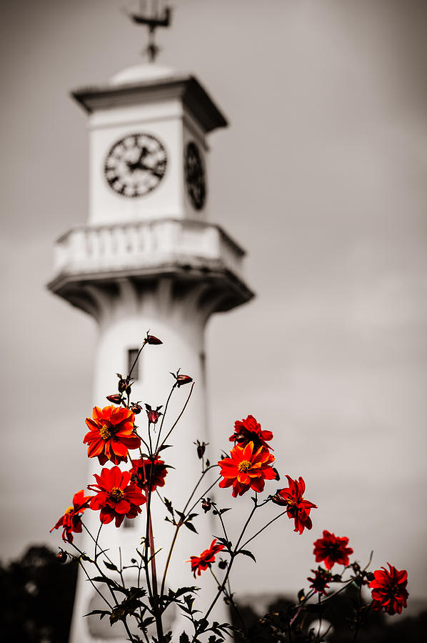 Roath Park Lighthouse #3 Photograph by Mark Llewellyn