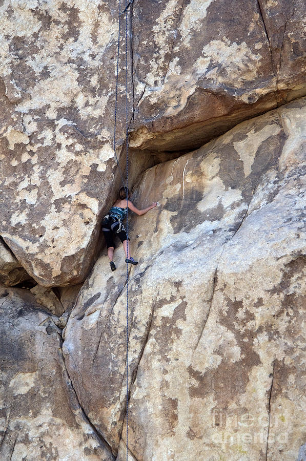 Rock Climber, Joshua Tree Np #3 Photograph by Mark Newman
