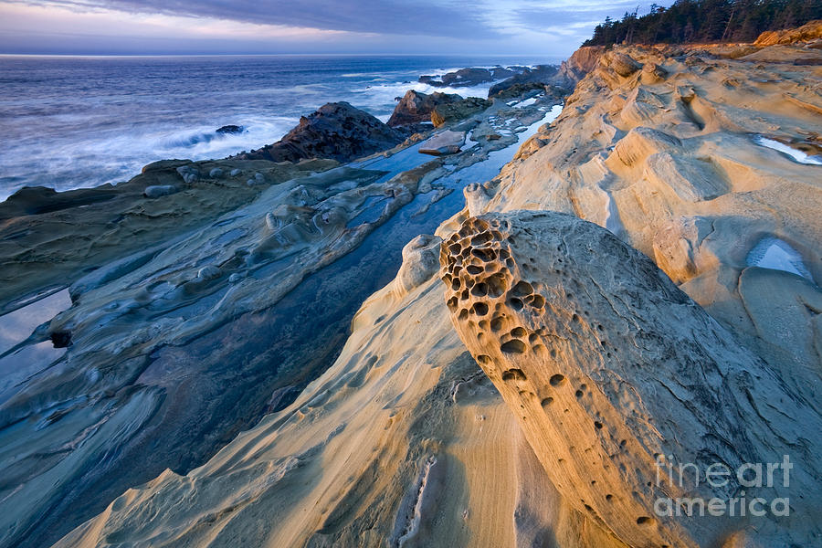 Rocky Shore #3 Photograph by Sean Bagshaw