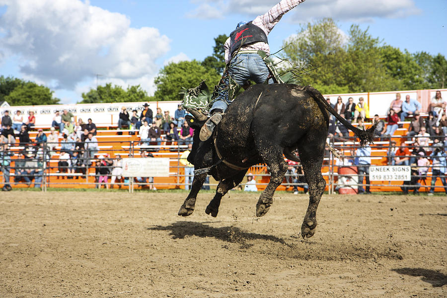 Rodeo #3 Photograph by Nick Mares