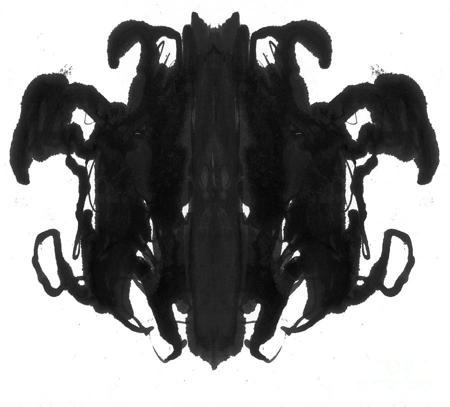 Rorschach Type Inkblot #3 Photograph by Spencer Sutton