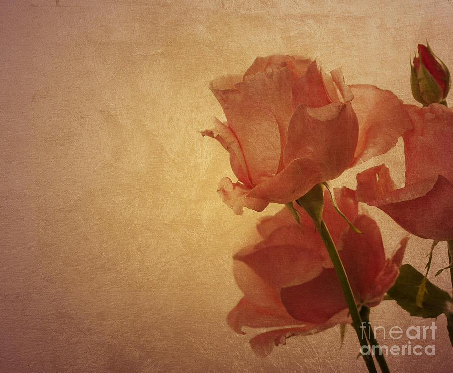 Roses Bouquet #2 Digital Art by Jelena Jovanovic