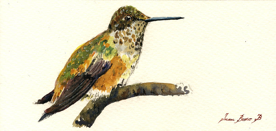 Hummingbird Painting - Rufous hummingbird #3 by Juan  Bosco