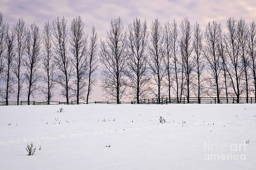 Rural winter landscape 2 Photograph by Elena Elisseeva