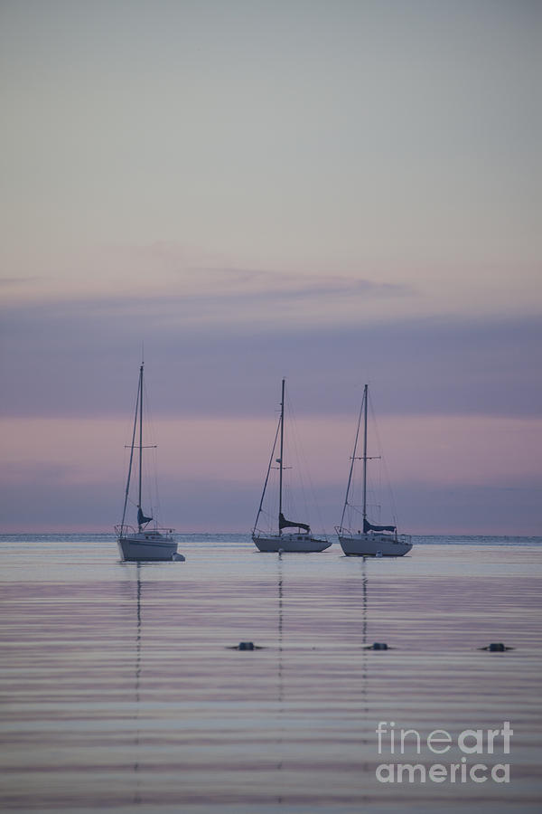 3 Sailboats Photograph by Timothy Johnson