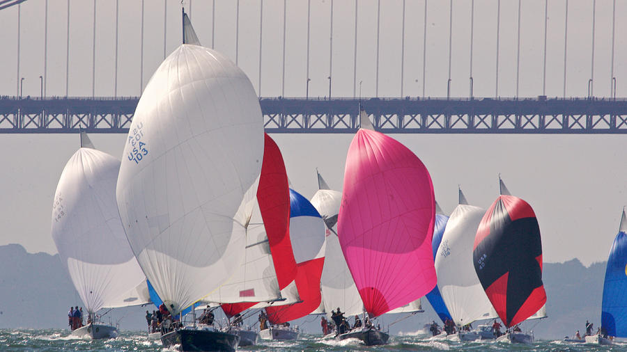 San Francisco Spinnakers #3 Photograph by Steven Lapkin